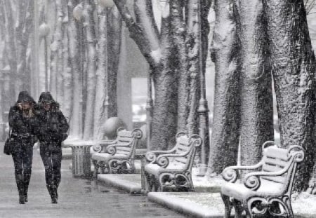 the twins - girls, winter, benches, snow, beauty, park