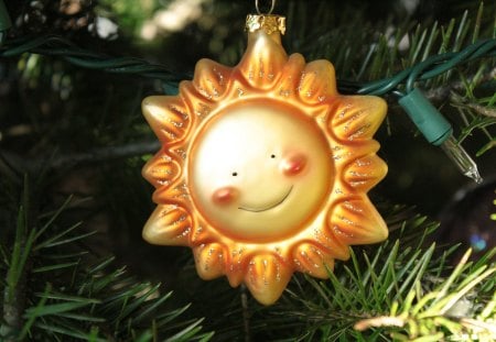 ✿ Christmas SunShine ✿ - warm, winter, yellow, forever, beautiful, sunshine, ornament, lovely, love, wonderful, christmas tree, nature, bright, smiling, sun, favorite