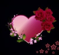 Pink Heart and Roses