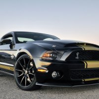 Shelby GT500 Super Snake Anniversary Edition