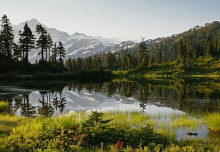 Lake Forest - red, forest, water, flowers, grass, lake, sky, reflection, trees, nature, mountain