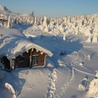 House and trees buried in snow