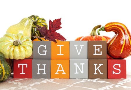 Give Thanks - autumn, pumpkin, thanksgiving, leaf, still life, gourds, fall, blocks, holiday