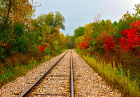 Railroad Track in Autumn - trees, rails, leaves, colors, track