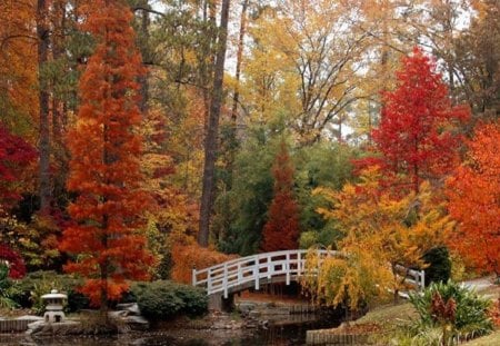 Autumn Season - nature, season, garden, autumn