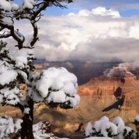 Winter in the Grand Canyon