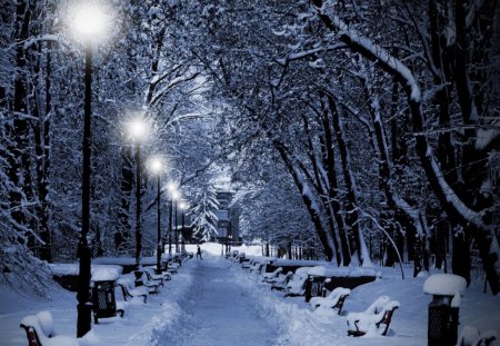 Snowy Park At Night - night, park, at, snowy