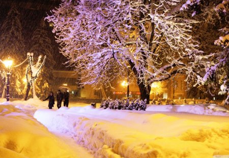 'Miracle in Christmas' - frosty, people, colorful, walk together, road, white, purple, yellow, cool, cold, umbrella, snow fall, frozen, xmas and new year, tale, cities, snowflakes, xmas trees, electric light, nature, most downloaded, covered, snow, pink, winter holidays, beautiful, seasons, sweet, sky, street, electricity post, trees, photography, fantasy, calm, pretty, cute, ice, celebrations, love, attractions in dreams, houses, black coats, winter, night, lovely, christmas, gold, love four seasons, white tree, together, city, twilight, colors, streets