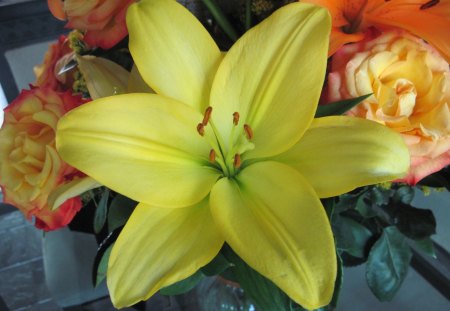 Yellow Lily