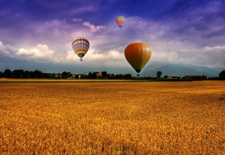 fantastic balloons over wheat field - wheat, fantasy, balloons, field, sky