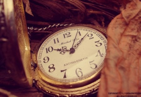 Life is too Short - watch, abstract, vintage, time