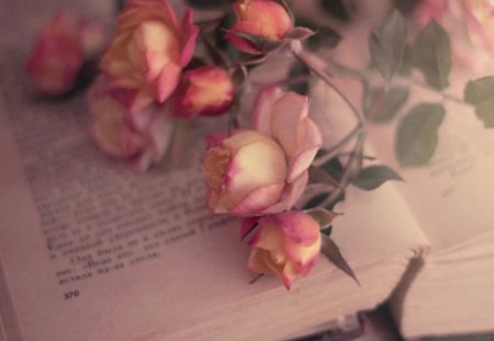 Romantic - orange, flowers, book, roses