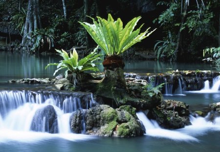 tropical landscape - rivers, waterfalls, tropical, landscape