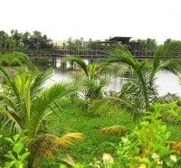 Wetlands crooked bridges