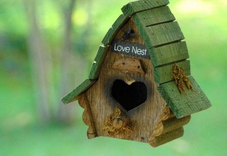 Love Nest - nest, heart, green, photography, cute, sweet