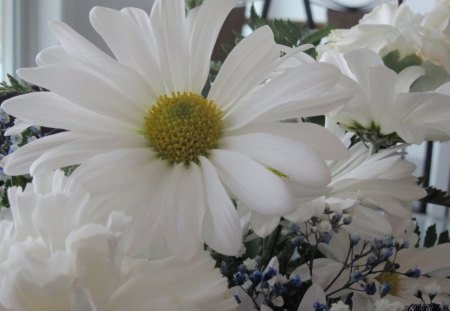 White daisy bouquet - white, flowers, photography, yellow, green, daisy