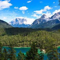 Beautiful Forest River and Mountains