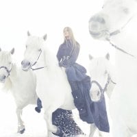 Winter walk with white horses