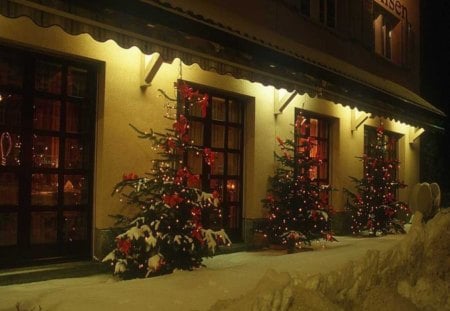 Christmas decorations - holidays, evenings, decorations, snow, christmas trees, winter, house