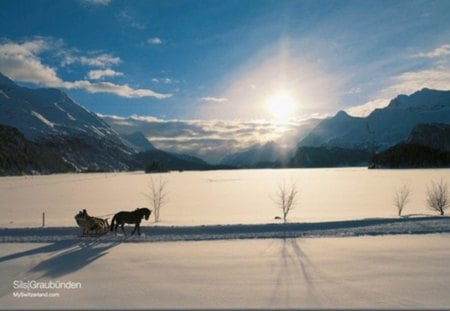 on his way home - carriage, path, winter, snow, horse, sun