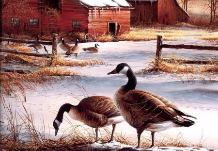 By Terry Redlin - painting, art, snow, terry redlin, bird