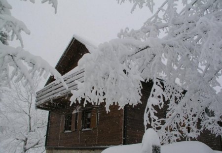 winter cabin - snow, winter, forest, cabin