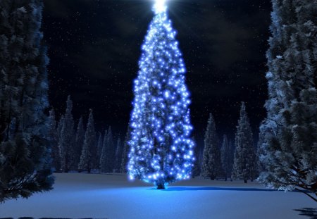 tree - bright, tree, lights, blue