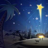 Christmas and New Year