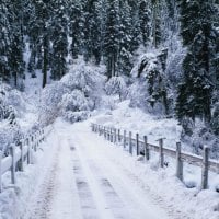 snow Covered Bridge