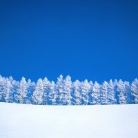 Winter background