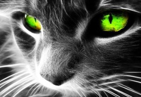 Cat with green eyes - cat, emerald, eyes, green, fantasy, with