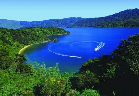 Marlborough, New Zealand - trees, water, heart, blue, forest, daylight, mountain, white, nature, land, lake, day, sky, line