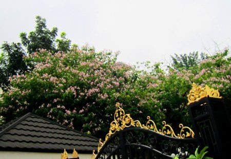 Flowers of atrium - atrium, flowers, door, roof