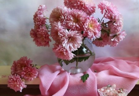 Chrysanthemums - flowers, still life, pink, abstract