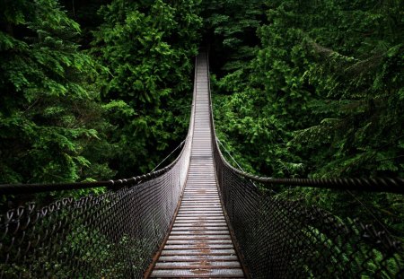 Bridge - bridge, wooden bridge, nature, 1680x1050