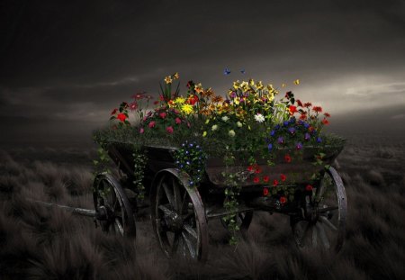 Flowers - horse-drawn carriage, autumn, color, flowers, flower