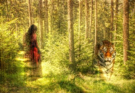 Forest - forest, fantasy, tiger, tree, girl, autumn