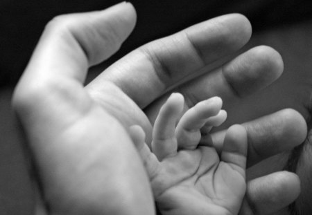 hands child adult affection - handsm, affection, child, care, adult