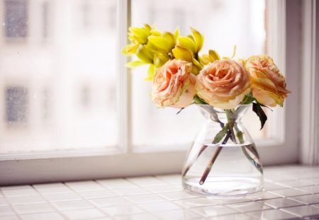 Flowers 'N' Vase - flowers, vase, window, water