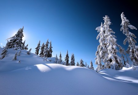 beautiful sunny winter day - sunny, winter, day, beautiful