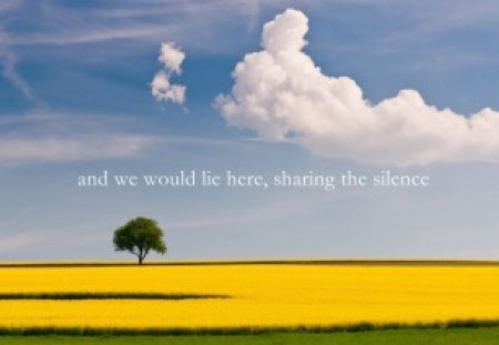 ...and we would lie here - clouds, yellow, blue, grass, Gingerbread-heart, tree, wind, nature, field, sky