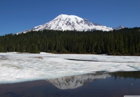 Reflection Mountain - trees, winter, water, snow, forest, daylight, mountain, ice, frozen, nature, lake, day, sky