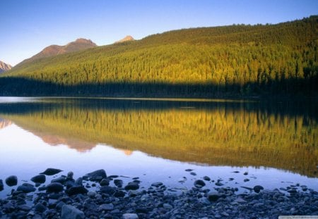 Lake Forest - trees, water, blue, forest, reflection, daylight, stones, nature, lake, day, sky