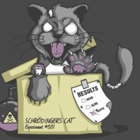 schrodinger cat