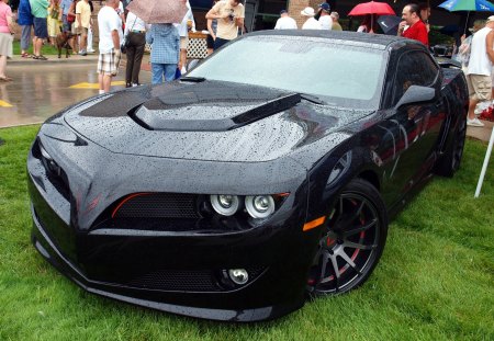 Wet Trans am - tran am, ss, musclecar, pontiac