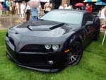 Wet Trans am