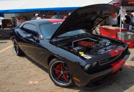 challenger - musclecar, challenger, dodge, charger