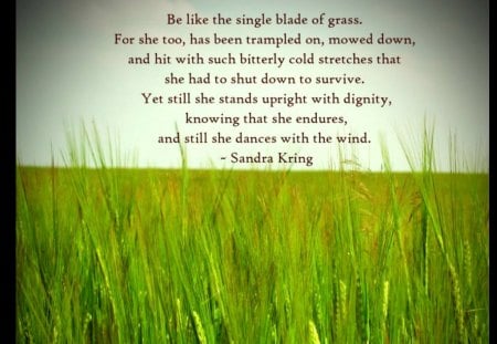 Be like the single blade of grass - life, living, motival, saying, grass, quote