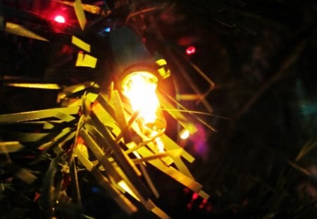 Christmas Light - christmas light, yellow christmas, yellow lights, christmas lights