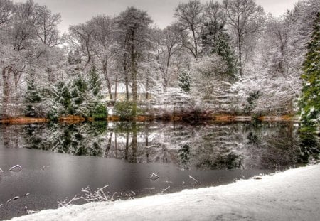 painted frost - lake, trees, frost, natura, water, winter